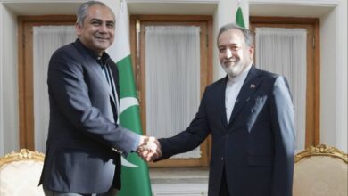 دیدار وزیر کشور پاکستان با وزیر امور خارجه کشورمان - هشت صبح