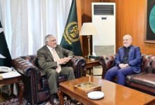 رایزنی وزیرخارجه پاکستان و سفیر ایران؛ تأکید بردیپلماسی جهت ثبات منطقه - هشت صبح