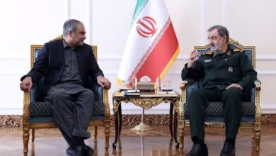 رضایی: ایران و پاکستان عقبه راهبردی یکدیگر هستند - هشت صبح