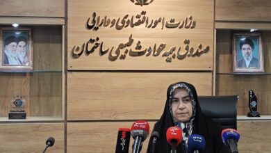 مقصودی: حمایت حاکمیت از صنعت خودرو نباید بدون قید و شرط باشد - هشت صبح