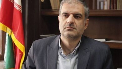 از حق انتخاب تا نوآوری؛ هزینههای پنهان انحصار در اقتصاد دیجیتال - هشت صبح