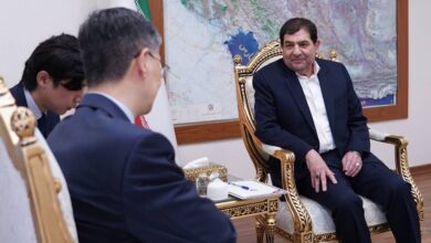 مخبر: روابط تهران و پکن راهبردی است - هشت صبح