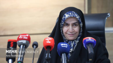 نشست خبری فاطمه مقصودی عضو کمیسیون اقتصادی مجلس