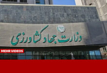 ترک فعل وزارت جهاد کشاورزی در موضوع نهاده‌های دامی