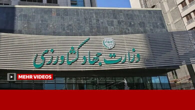 ترک فعل وزارت جهاد کشاورزی در موضوع نهاده‌های دامی