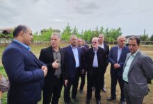 صرفی: یک ابزار نوین برای تأمین مالی تعاونی‌ ها در راه است