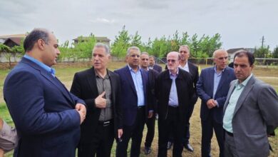 صرفی: یک ابزار نوین برای تأمین مالی تعاونی‌ ها در راه است