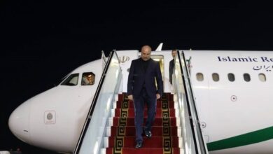 رئیس مجلس و هیئت پارلمانی همراه وارد تهران شدند - هشت صبح