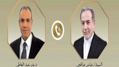 رایزنی عراقچی با همتای مصری درباره تحولات منطقه - هشت صبح
