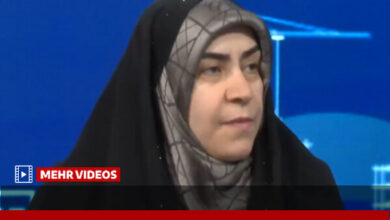مقصودی: چالش بنزین به یک بحران زیست محیطی تبدیل شده است - هشت صبح