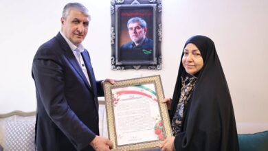 دیدار معاون رییس‌جمهور با خانواده شهید «فریدون عباسی» - هشت صبح