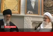 فیلمی دیده‌نشده از حضور رهبر شهید در منزل آیت‌الله‌ صافی گلپایگانی