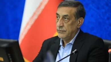 قائم‌پناه: تمام تلاش دولت جلوگیری از قطع برق صنایع است - هشت صبح