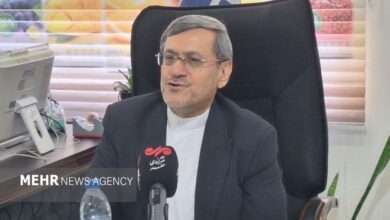 روایت قشقاوی از توافق ایران و عمان درباره کریدور تنگه هرمز - هشت صبح