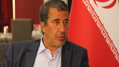انارکی‌محمدی: ایران با وجود تحریم‌ها، مسیر توسعه را ادامه داده است - هشت صبح