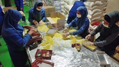 ۲۴۴ طرح تعاونی با بیش از ۲۸ هزار فرصت شغلی افتتاح شد - هشت صبح