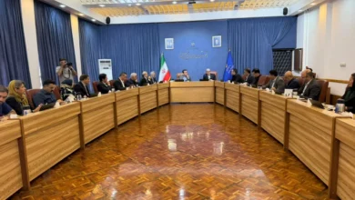 تولیدات کرمان موتور
