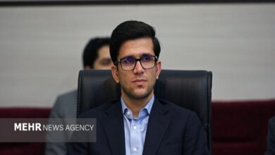 معاون وزیر نفت: قیمت بنزین برای ۸۵ درصد مردم تغییری نمی‌کند - هشت صبح