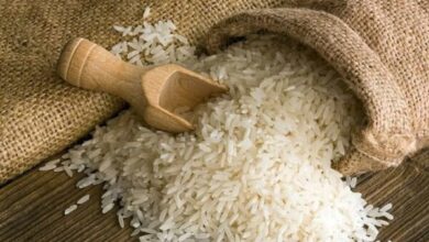 ثبت سفارش برنج فردا آغاز میشود - هشت صبح