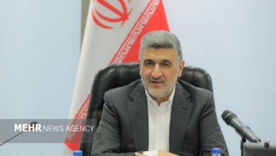 صیدی: منابع ارزی مردم در اقتصاد رسوب کرده است - هشت صبح