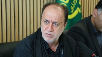 دولت در پرداخت مطالبات گندم‌کاران تسریع کند - هشت صبح