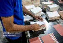 ظرفیت یک میلیون تنی بستهبندی بلااستفاده ماند - هشت صبح