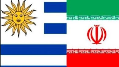 مسیر توسعه همکاری‌های کشاورزی ایران و اروگوئه هموار می‌شود - هشت صبح