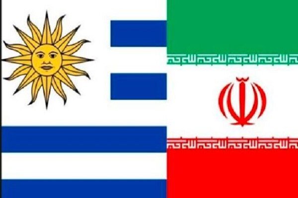 مسیر توسعه همکاری‌های کشاورزی ایران و اروگوئه هموار می‌شود - هشت صبح