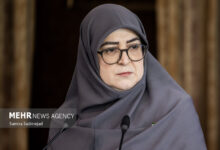 مهاجرانی: آنچه انجام شده تمام توان دولت است - هشت صبح