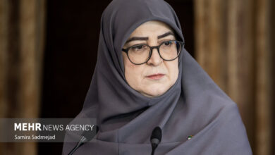 مهاجرانی: آنچه انجام شده تمام توان دولت است - هشت صبح