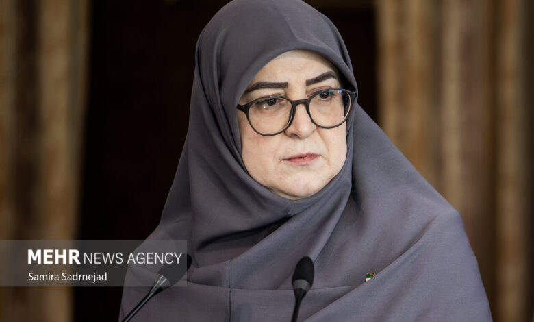مهاجرانی: آنچه انجام شده تمام توان دولت است - هشت صبح