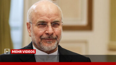 قالیباف: در اولین فرصت رقم کالابرگ را افزایش می‌دهیم - هشت صبح
