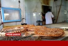 تجهیز ۷ هزار نانوایی در مناطق کم‌برخوردار به موتور برق