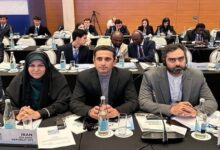 ثابتی: حقوق زنان ابزار فریب و بازی سیاسی رسانه‌های غربی شده است - هشت صبح