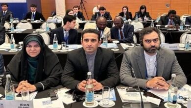 ثابتی: حقوق زنان ابزار فریب و بازی سیاسی رسانه‌های غربی شده است - هشت صبح