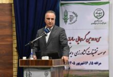 ثبت رکورد تاریخی تولید گندم در کشور با تولید ۱۴.۱ میلیون تن - هشت صبح