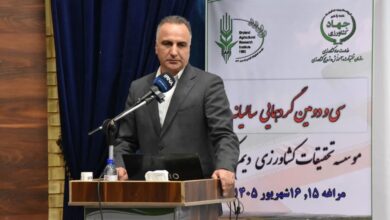 ثبت رکورد تاریخی تولید گندم در کشور با تولید ۱۴.۱ میلیون تن - هشت صبح
