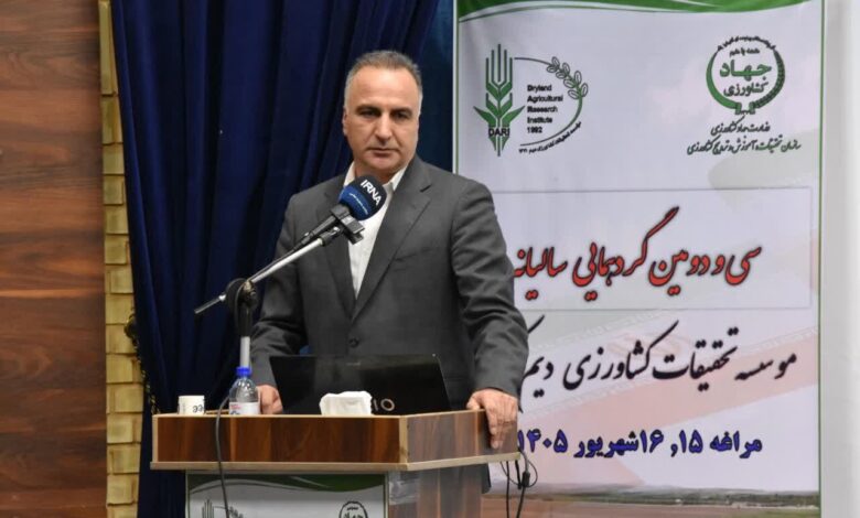 ثبت رکورد تاریخی تولید گندم در کشور با تولید ۱۴.۱ میلیون تن - هشت صبح