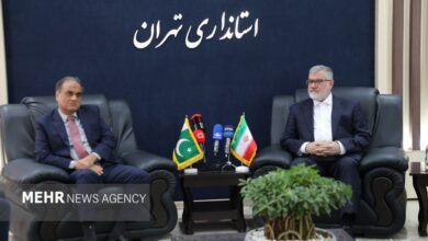 رویکرد دولت پاکستان برای کمک به صلح و ثبات منطقه قابل تقدیر است - هشت صبح