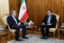 دیدار سفیر ایران نزد سازمان همکاری اسلامی با عراقچی - هشت صبح