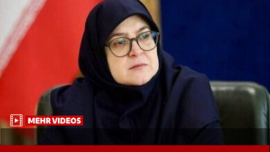 واکنش سخنگوی دولت به تحریم صنعت هوانوردی ایران از سوی آمریکا - هشت صبح