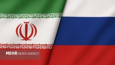 توسعه صادرات آبزیان ایران به روسیه در دستور کار قرار گرفت - هشت صبح