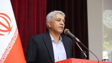 ۳۸۰۰ هکتار از باغات انگور شاهرود در مسیر کشاورزی دانش‌بنیان - هشت صبح