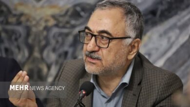 لیلاز: تاب‌آوری اقتصاد ما در گرو فعال‌سازی ظرفیت‌های داخلی است - هشت صبح