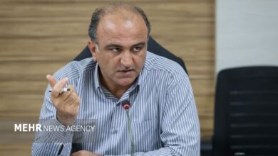 ۹۲ درصد مطالبات گندمکاران خوزستان پرداخت شد - هشت صبح