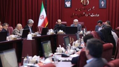 بررسی حق‌العمل جایگاه‌داران سوخت در کمیسیون اقتصاد دولت - هشت صبح