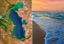 کاهش آسیب‌پذیری در سواحل کاسپین؛ نقشه‌ راه مدیریت نوسانات خزر ابلاغ شد - هشت صبح