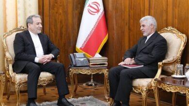 دیدار سرکنسول جدید ایران در کربلا با وزیر امور خارجه - هشت صبح