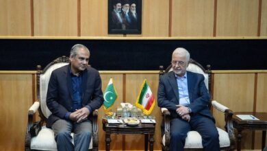 دیدار وزرای کشور ایران و پاکستان - هشت صبح