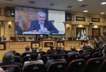 مدنی‌زاده: تعدد قوانین فعالان اقتصادی را سردرگم می‌کند - هشت صبح